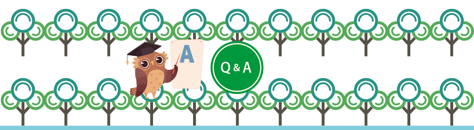 Q&A